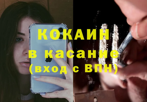 индика Алексин