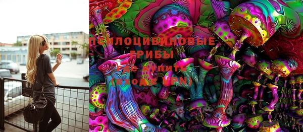 индика Алексин