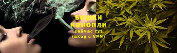 шишки Армянск