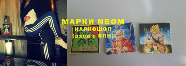 шишки Армянск